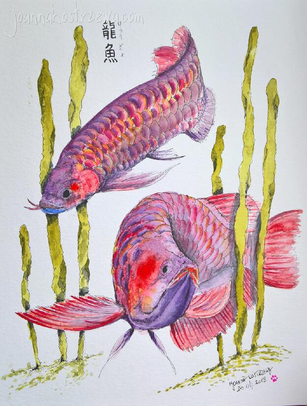 Dragonfish II